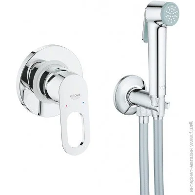 Grohe BauLoop 29042000 + Tempesta-F Trigger Spray 30 26358000 (2904200B)