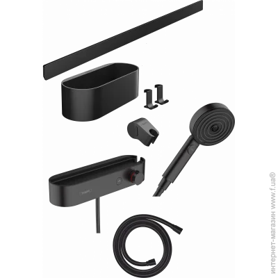   Hansgrohe WallStoris         700 ,   (24250670)