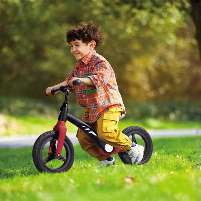  Hape  (E1207)
