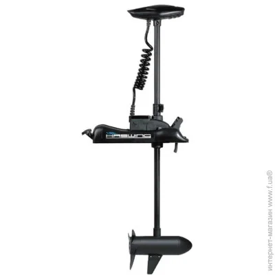    Haswing   Cayman B 55Lbs  12 