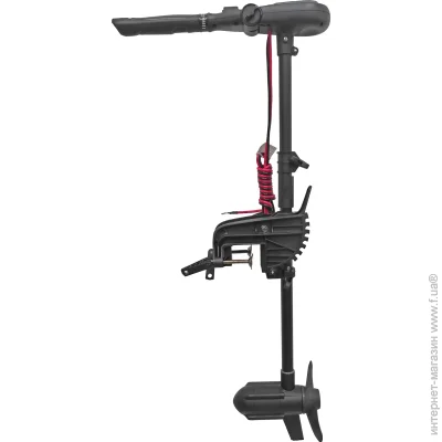    Haswing    Pertring 55    