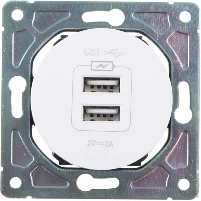 Механизм розетки USB оконечная двойная HausMark Bela без шторок без крышки белый SNG-SCP.RD20MG2U-WH Механизм розетки USB оконечная двойная HausMark Bela без шторок без крышки белый SNG-SCP.RD20MG2U-WH
