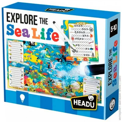   Headu    (IT22311)