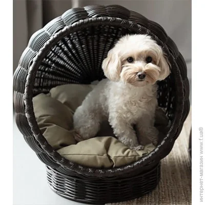  Home Rest 575050  