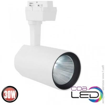      HOROZ ELECTRIC "VARNA-30" 30W 4200 ( ) 