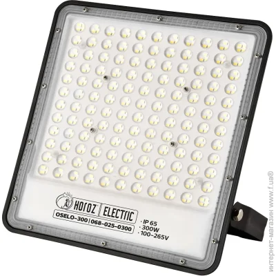 Horoz Electric   "OSELO-300" 300W 6400K  (068-025-0300-010-horoz)