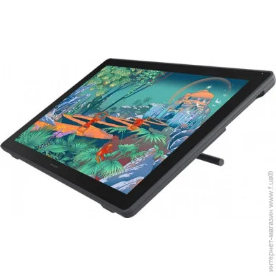   Huion Kamvas 24 Plus +  (GS2402)