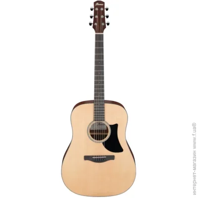   Ibanez   Ibanez AAD50-LG