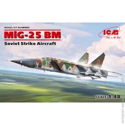  1:48  - ICM -   -25  1:48 (ICM48905) 