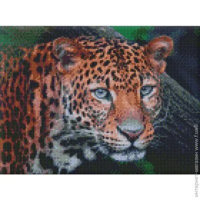 ideyka Алмазная мозаика "Дикий взгляд" AMO7203 30х40 см ideyka Алмазная мозаика "Дикий взгляд" AMO7203 30х40 см