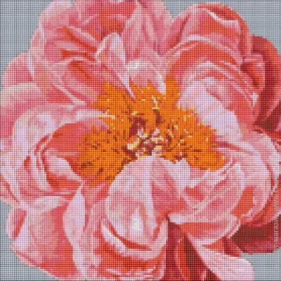 ideyka  "Pinkkiss"Ira Volkova AMO7079 4040 