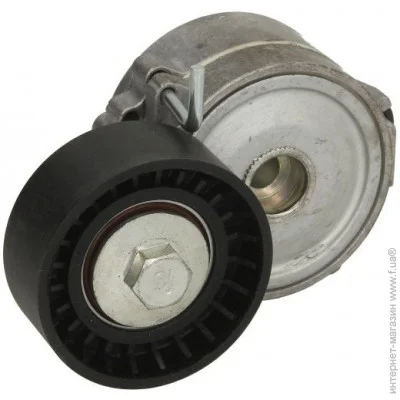   INA 534 0068 10 (534006810)