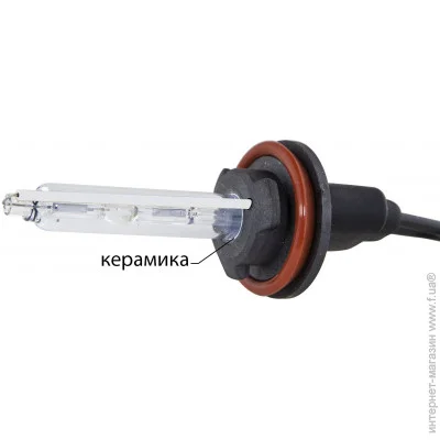    Infolight H11 6000K + 50%