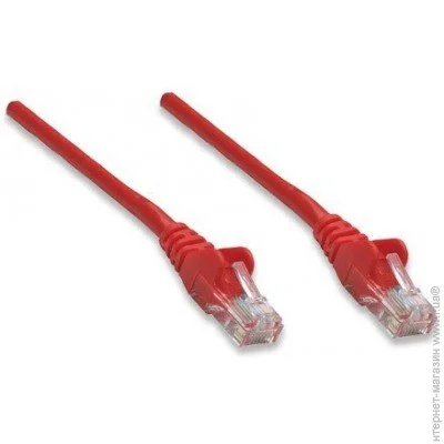 - Intellinet  UTP Cat.5e (2 ), Intellinet (319300)