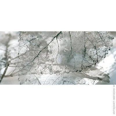 Intercerama  Magia grey  61 071-1 23x50 