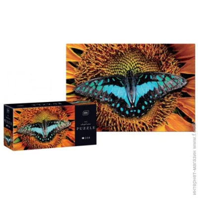   Interdruk  :  (342003)