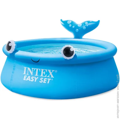   Intex   18351  (DM-26102)