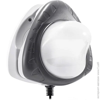 Intex      (DM-28698)