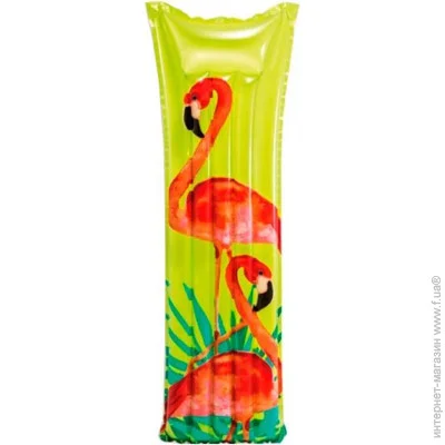   Intex  183  69  (59720-4)