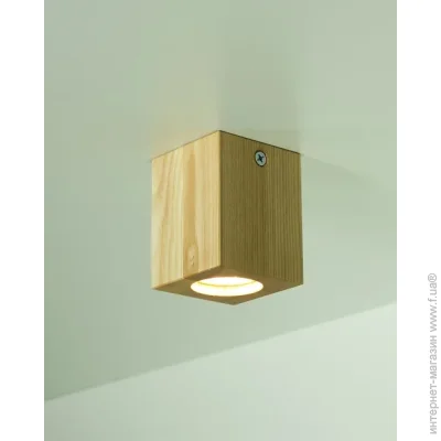 Iterna   Ceiling LW008  30  GU5.3 