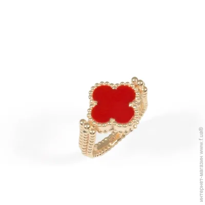 Jewellery Continent ʳ        17.5 (2364338590)