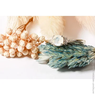 Jewellery Continent         21.5 (2244085922)
