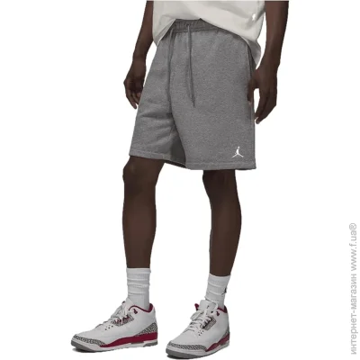  Jordan Brooklyn Fleece (FV7285-091-L)
