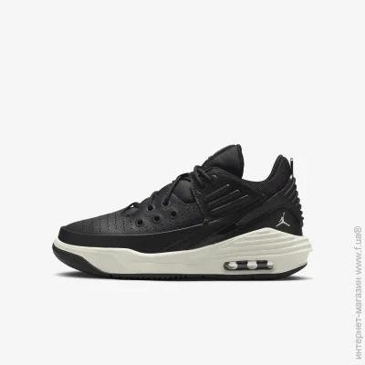    Jordan Max Aura 5 .38 (DZ4352-010-38)