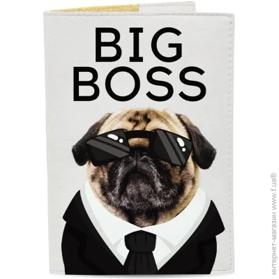 Just Cover!    Big Boss