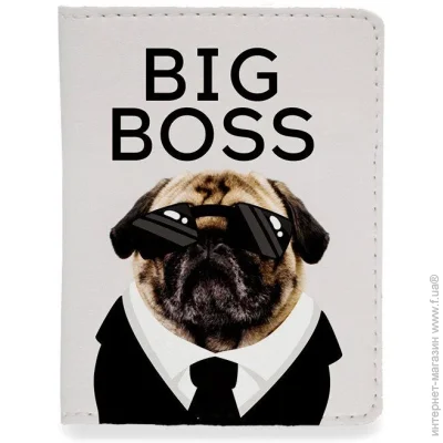   Just Cover!    Big Boss