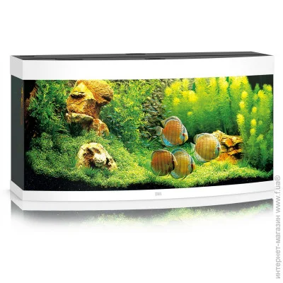  Juwel VISION 260 LED  (4022573064506)