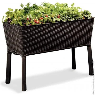     Keter Easy grow  (17194592521)