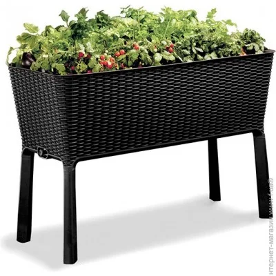     Keter Easy grow  (17194592902)