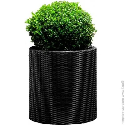  Keter L Cylinder Planter,  (17197934902_L)