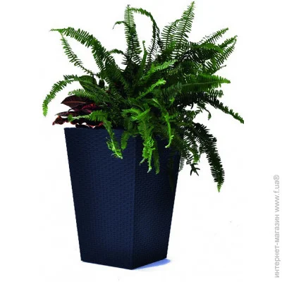 Keter    Medium Rattan Planter  (7290103659288)