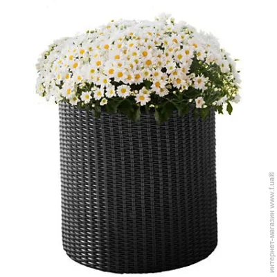 Keter   S Cylinder Planter  7 