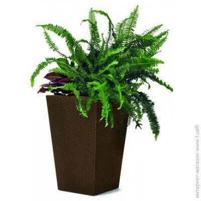 Keter    Small Rattan Planter . (7290103659257)