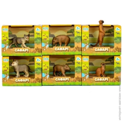 Kids Team       Q9899-A91