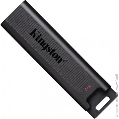  Kingston DTMAX/1TB (DTMAX/1TB)