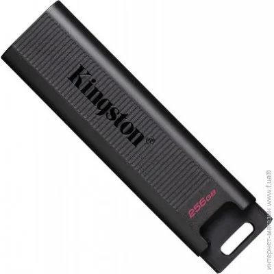  Kingston DTMAX/256GB (DTMAX/256GB)
