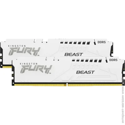  ' Kingston Fury KF560C36BWE2K2-32