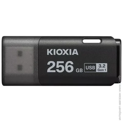  Kioxia 256GB TransMemory U301 Black (LU301K256GG4)