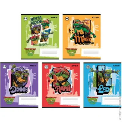 Kite  12 .  NT24-234