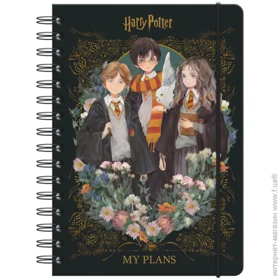 Kite    Harry Potter   HP23-438