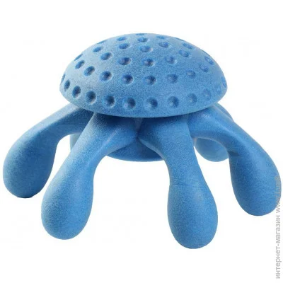 Kiwi Walker     , 13  (8596075002787)