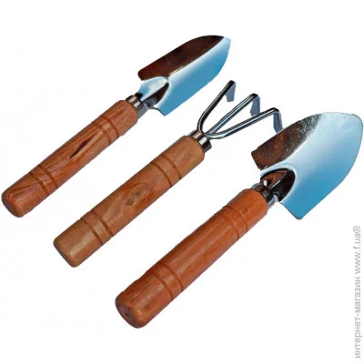   ( ) Koopman   