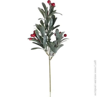   Koopman   Red Berries 38 