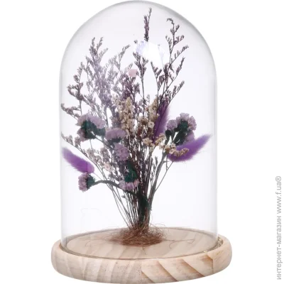   Koopman      Wildflowers   1725 