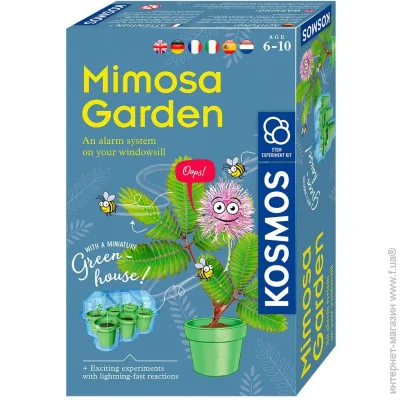   Kosmos      (Mimosa Garden) 616809