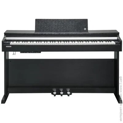   Kurzweil CUP M1 BK